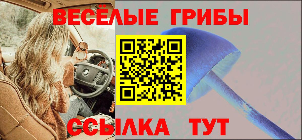ГАШ  LSD-25  Меф кристаллы  КОКАИН  Вход с VPN  Новочеркасск  Канабис 