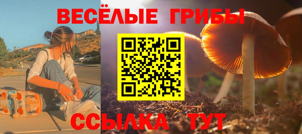 Псилоцибиновые грибы ЛСД Новочеркасск
