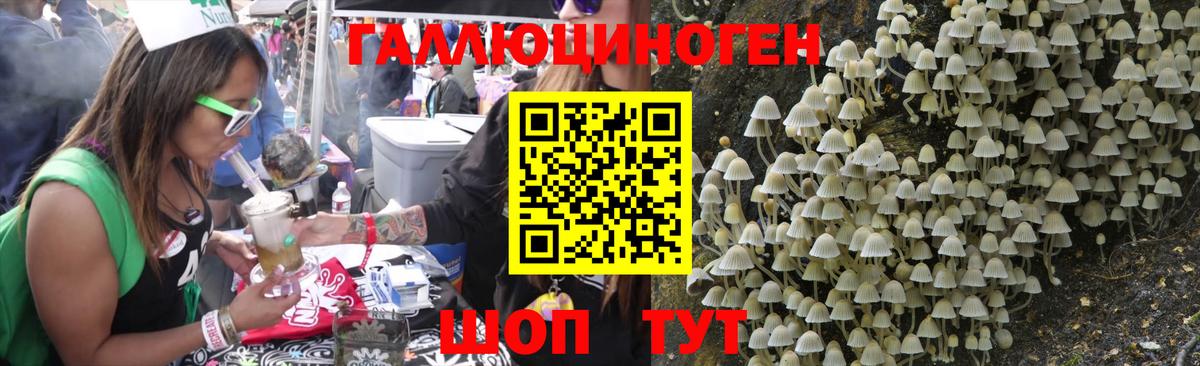 Галлюциногенные грибы Magic Shrooms  Вход с VPN  Новочеркасск 